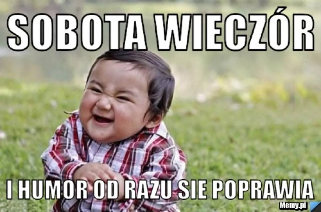 Zdjęcie 17