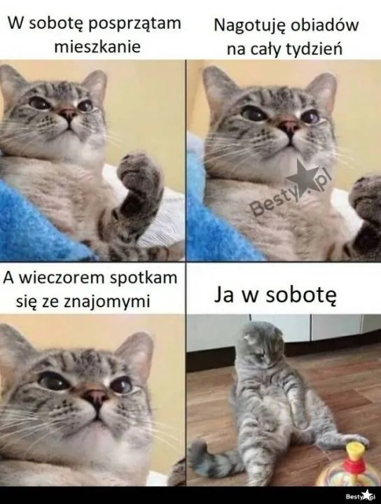 Zdjęcie 10
