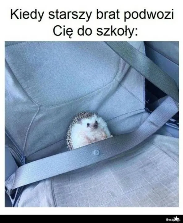 Zdjęcie 8