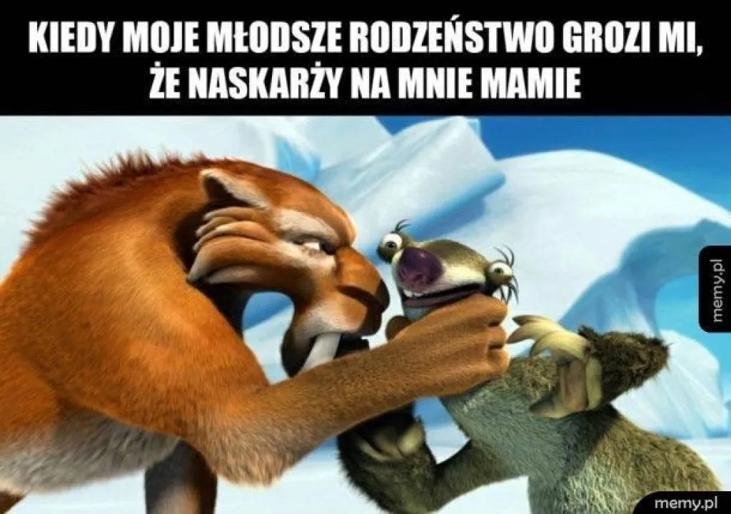 Zdjęcie 2
