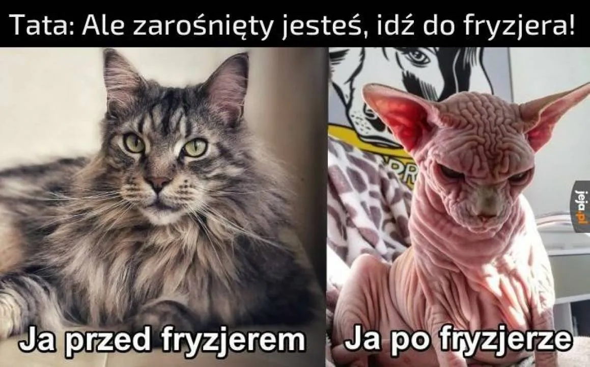 Zdjęcie 9