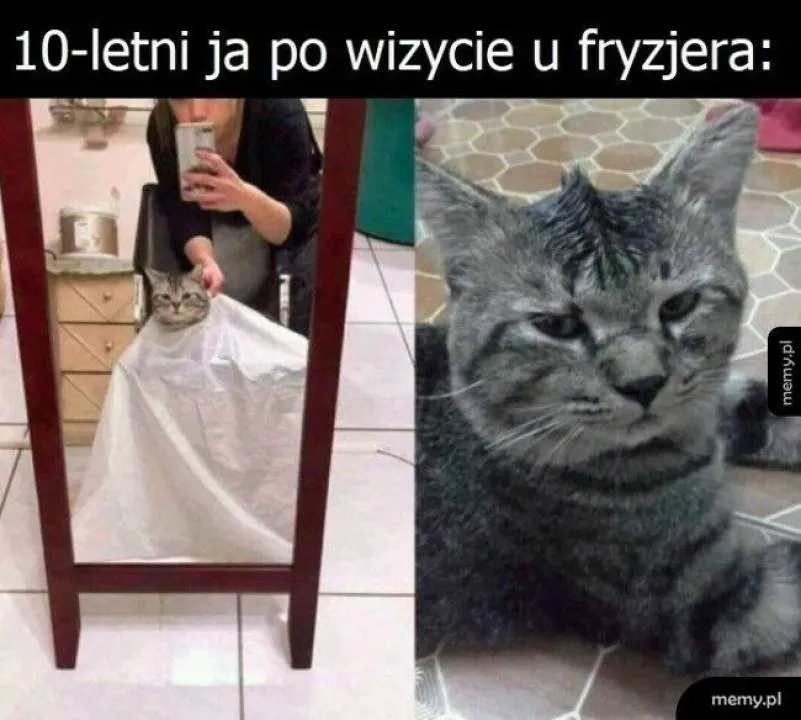 Zdjęcie 8