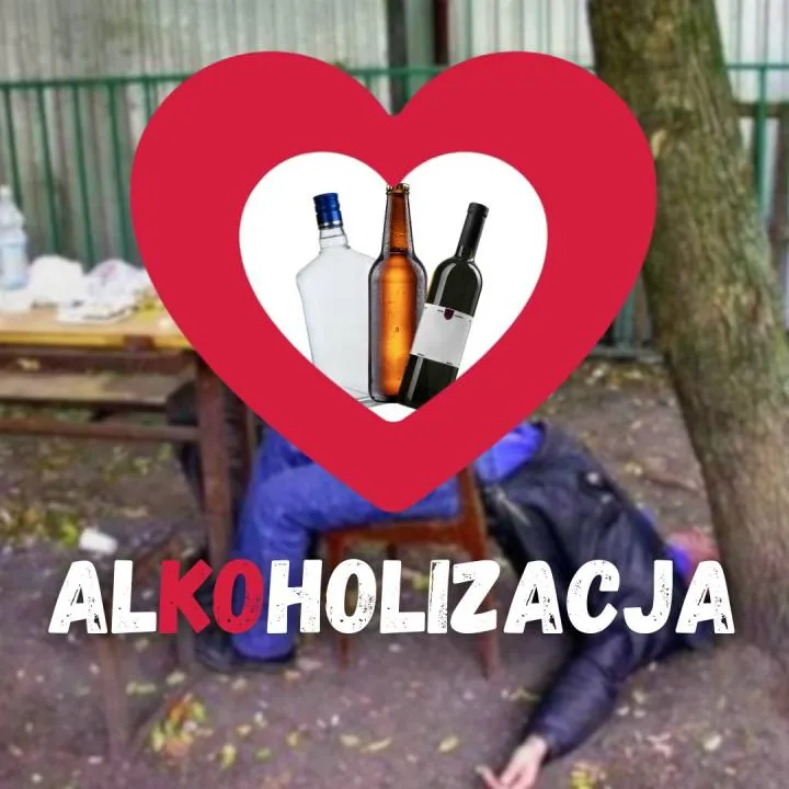Zdjęcie 6