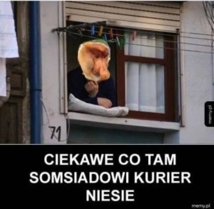 Zdjęcie 4