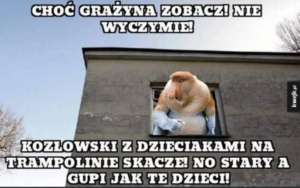 Zdjęcie 9