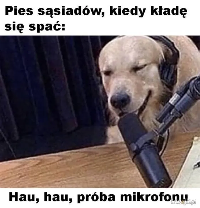 Zdjęcie 8
