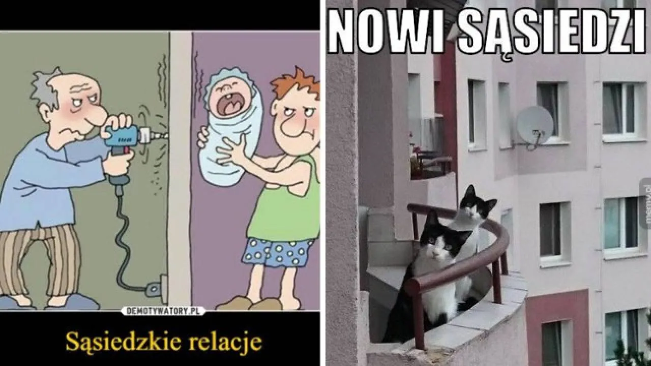 Zdjęcie 7