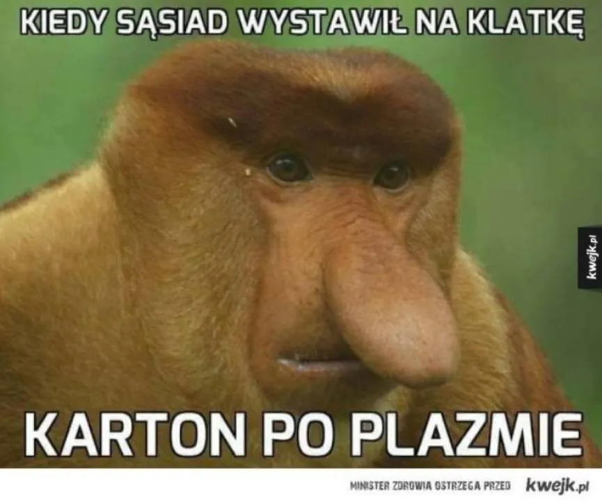 Zdjęcie 6