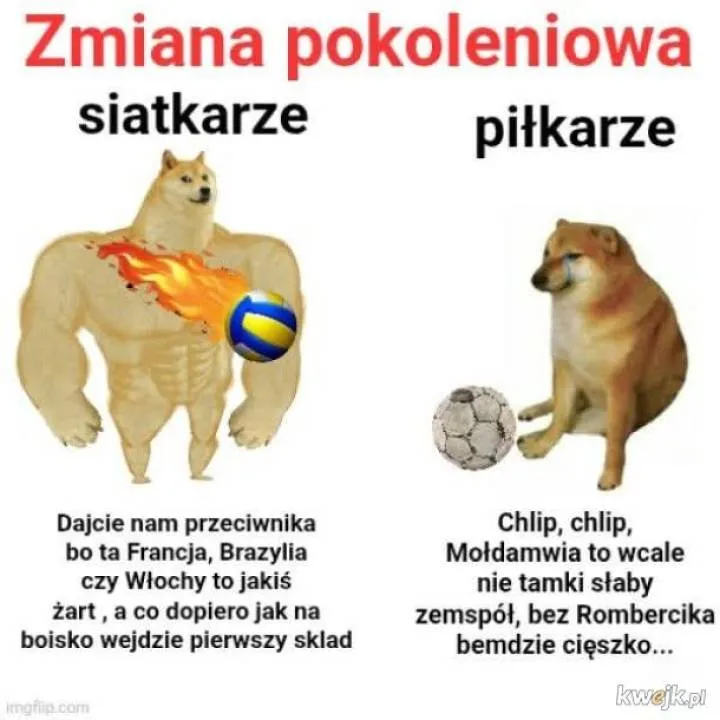 Zdjęcie 6