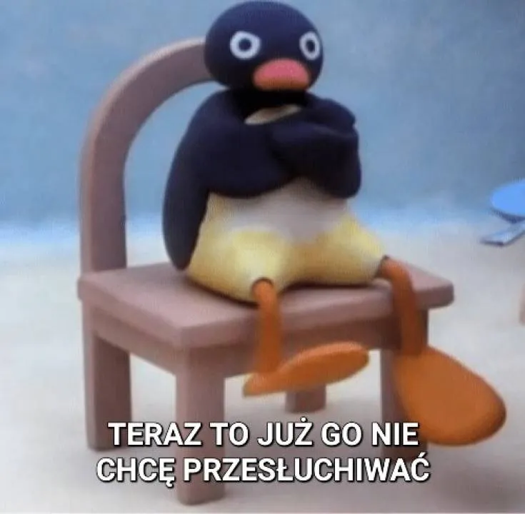 Zdjęcie 1