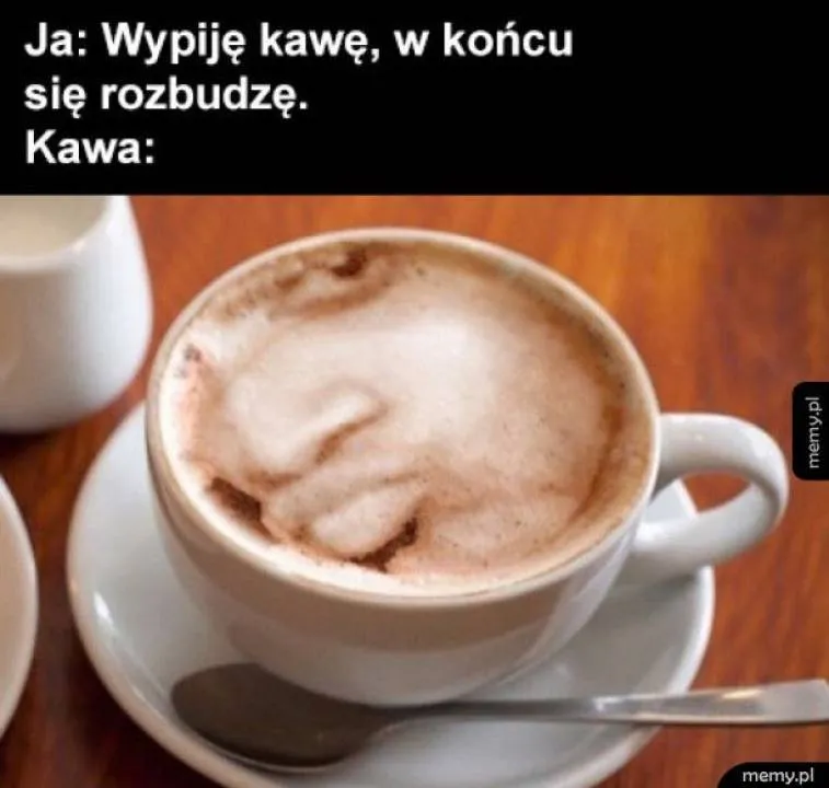 Zdjęcie 6