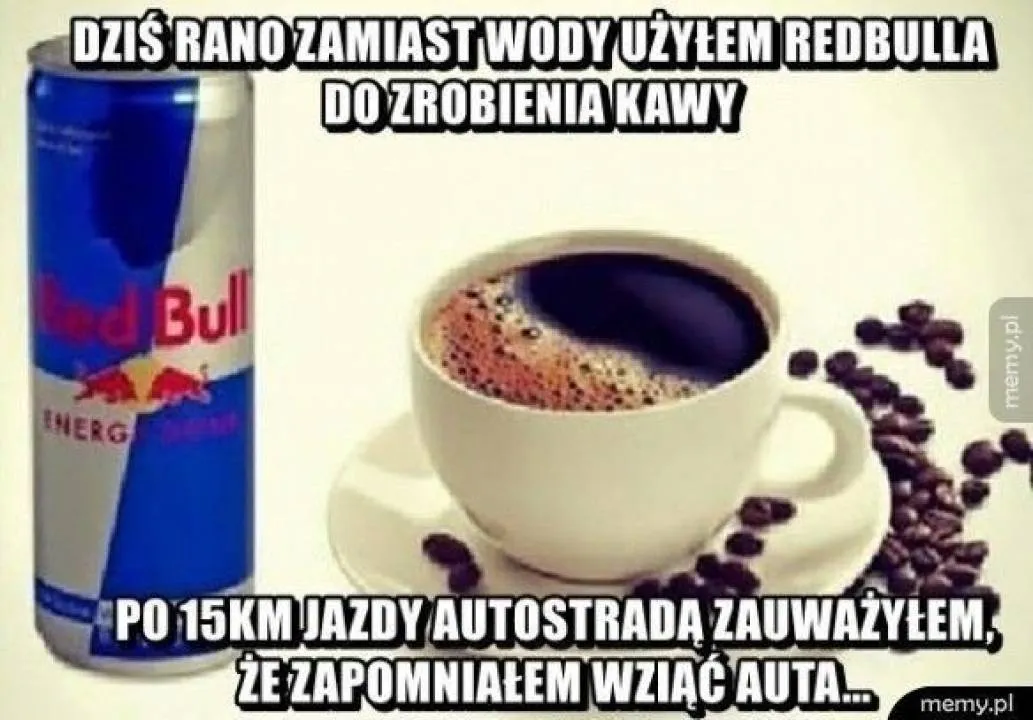Zdjęcie 7
