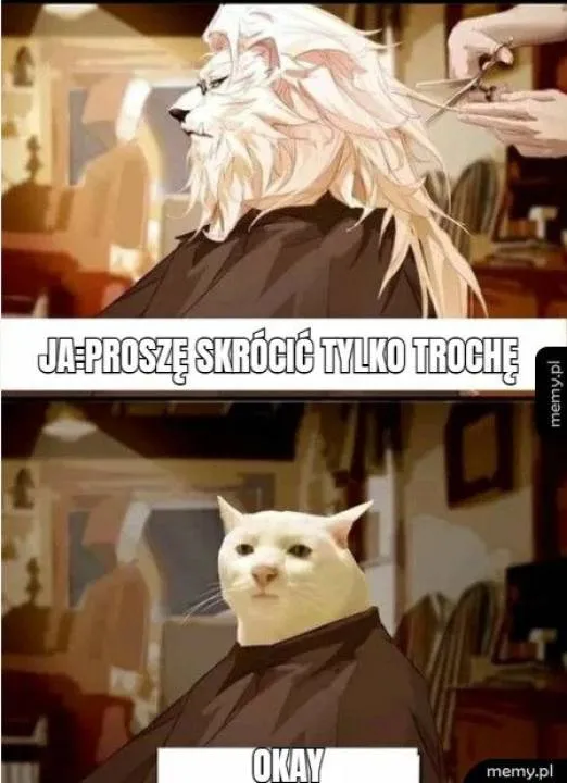 Zdjęcie 5