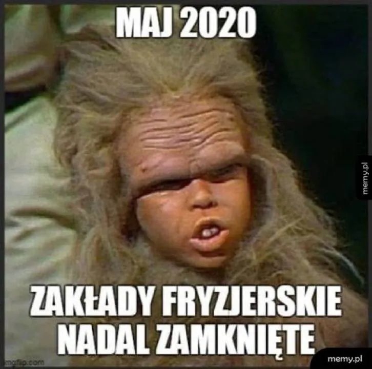 Zdjęcie 6