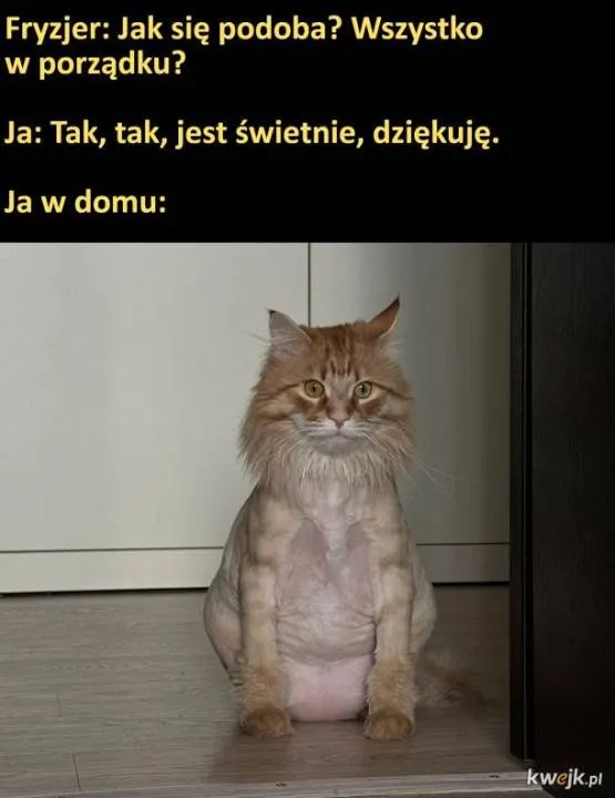 Zdjęcie 20