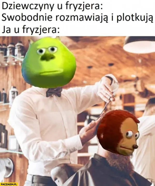 Zdjęcie 11