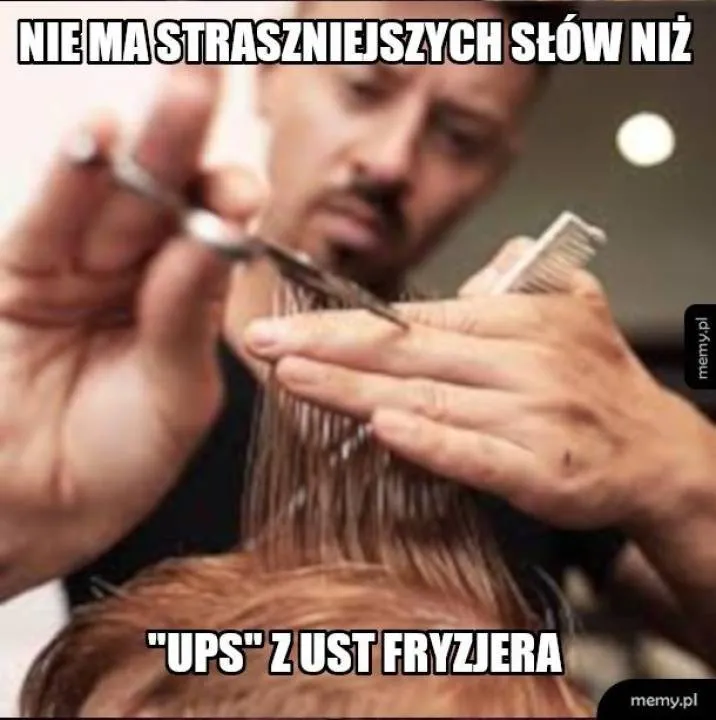 Zdjęcie 8
