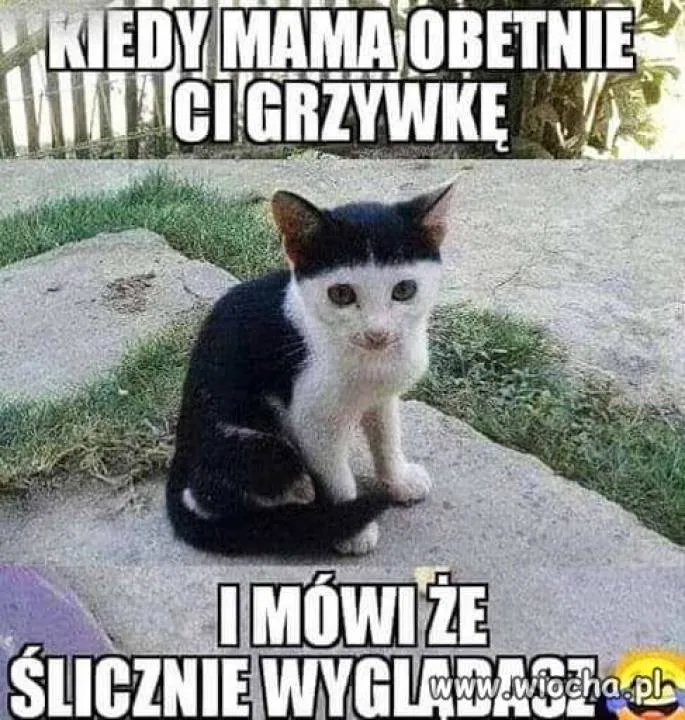 Zdjęcie 1