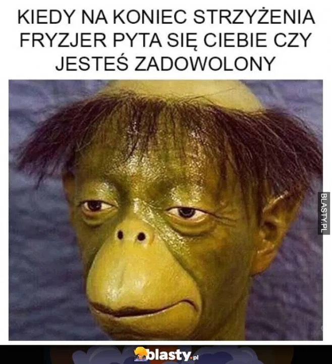 Zdjęcie 10