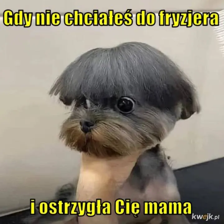 Zdjęcie 23