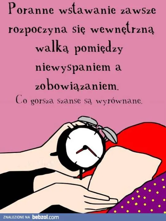 Zdjęcie 13