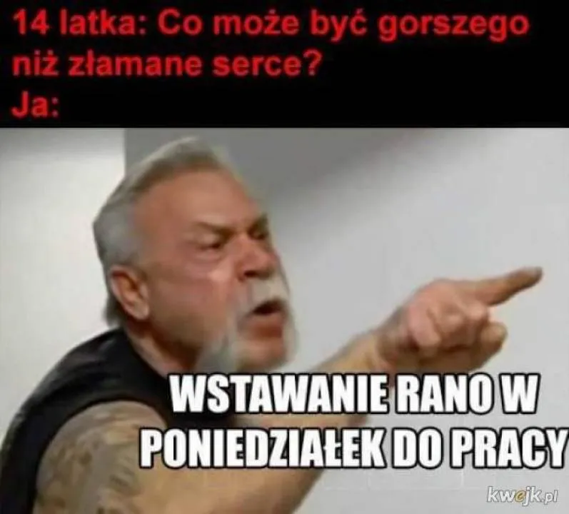 Zdjęcie 10