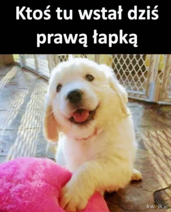 Zdjęcie 5