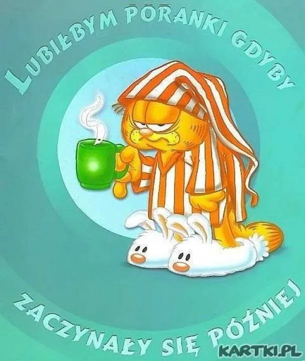 Zdjęcie 17