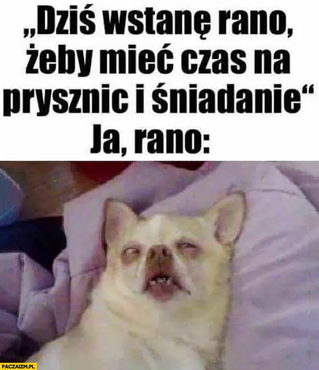 Zdjęcie 22