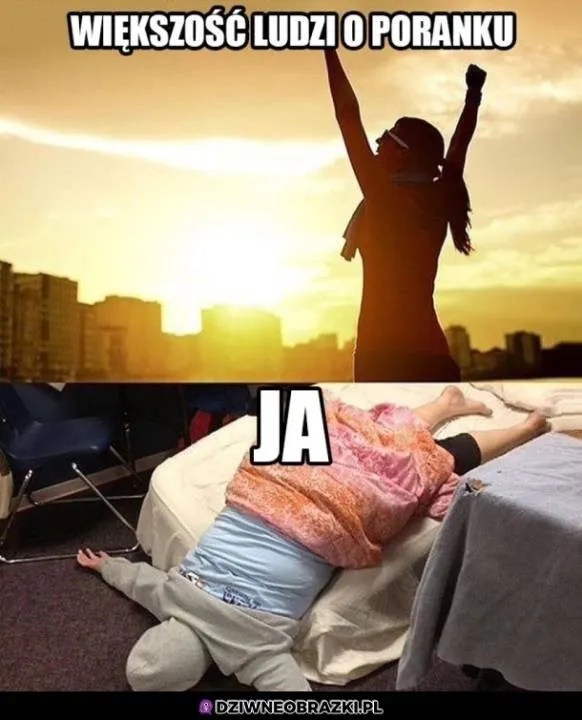 Zdjęcie 6