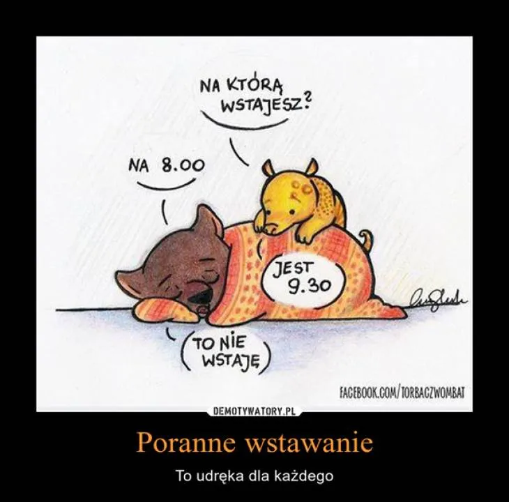 Zdjęcie 30