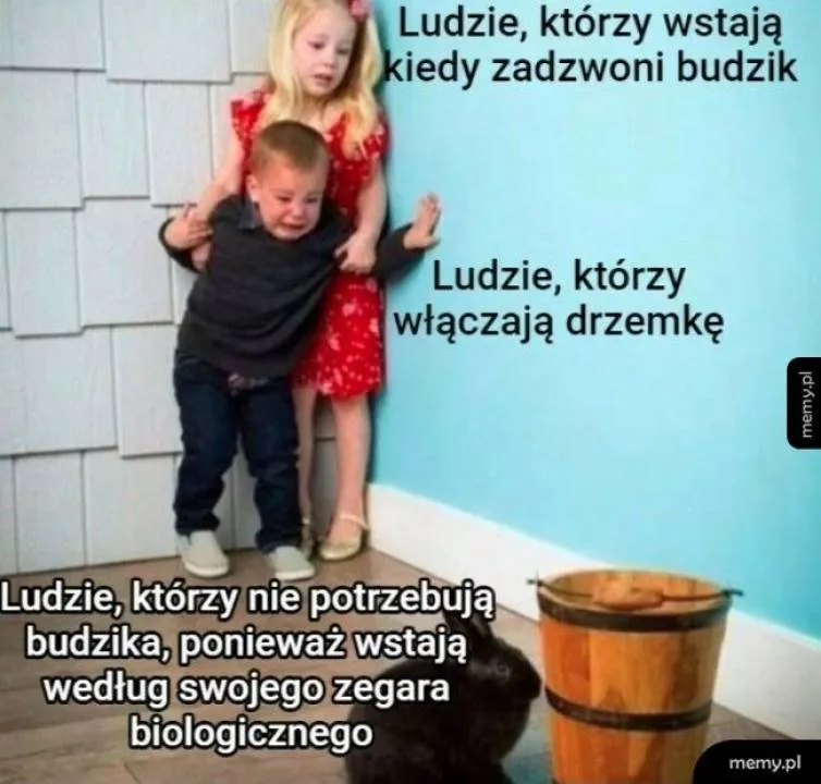 Zdjęcie 20