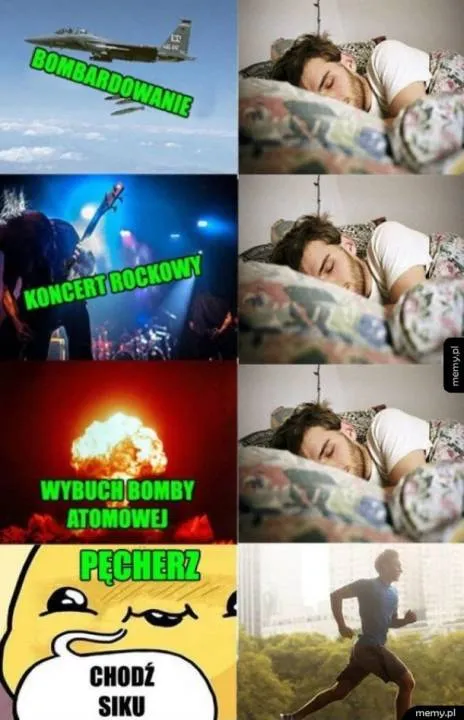 Zdjęcie 7