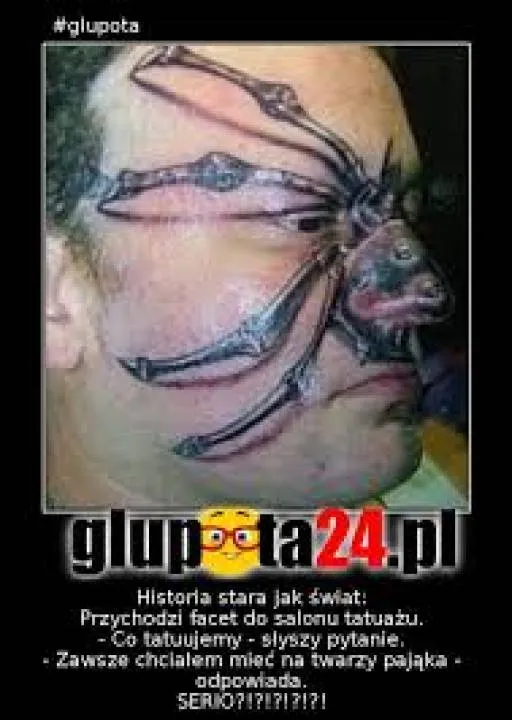 Zdjęcie 7