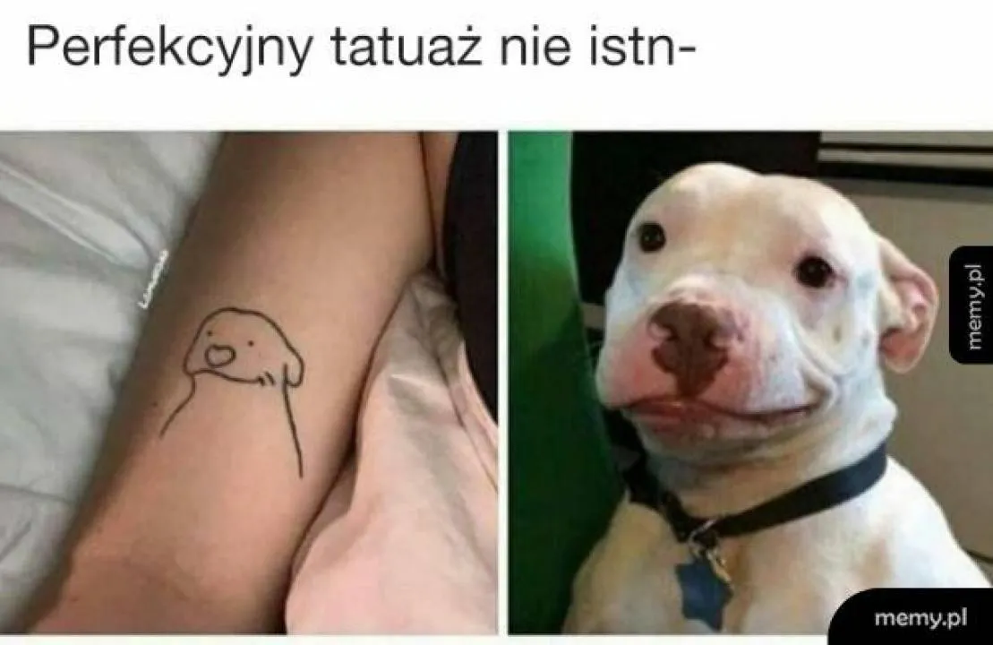 Zdjęcie 27