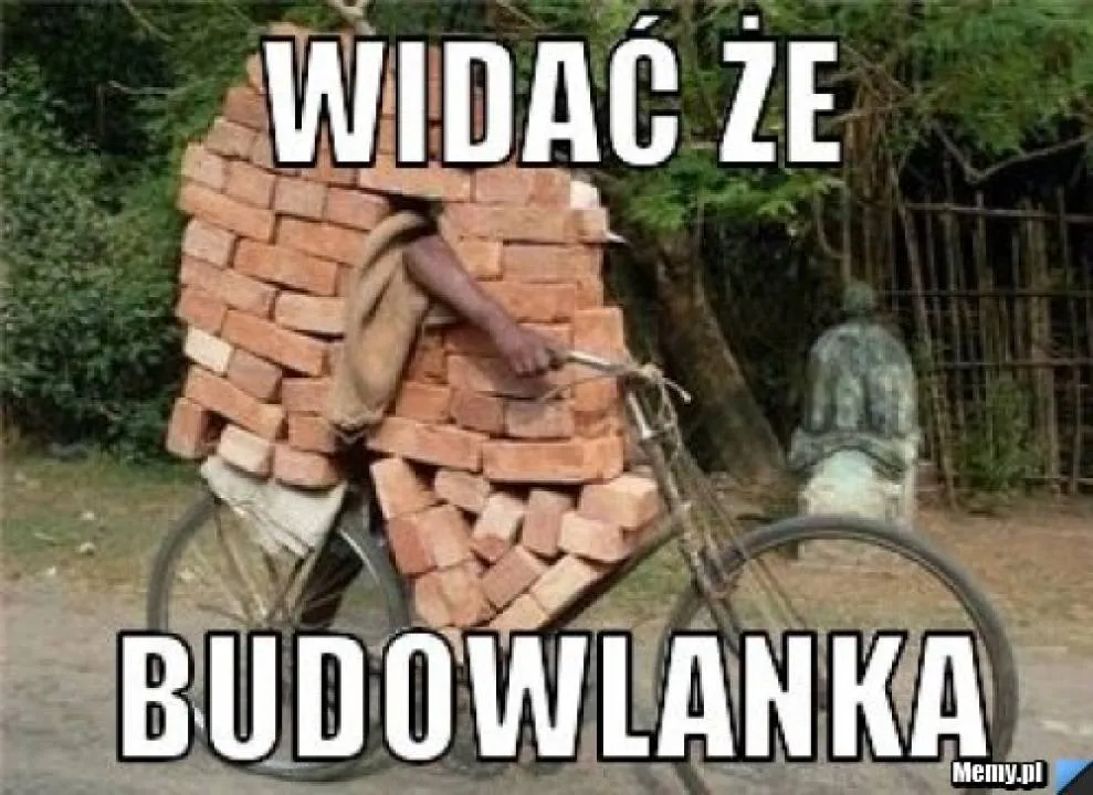 Zdjęcie 5