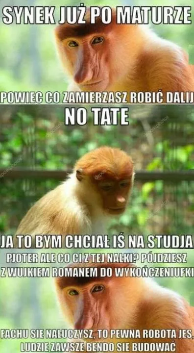 Zdjęcie 20