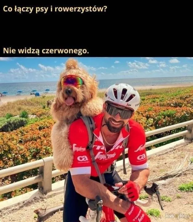 Zdjęcie 24