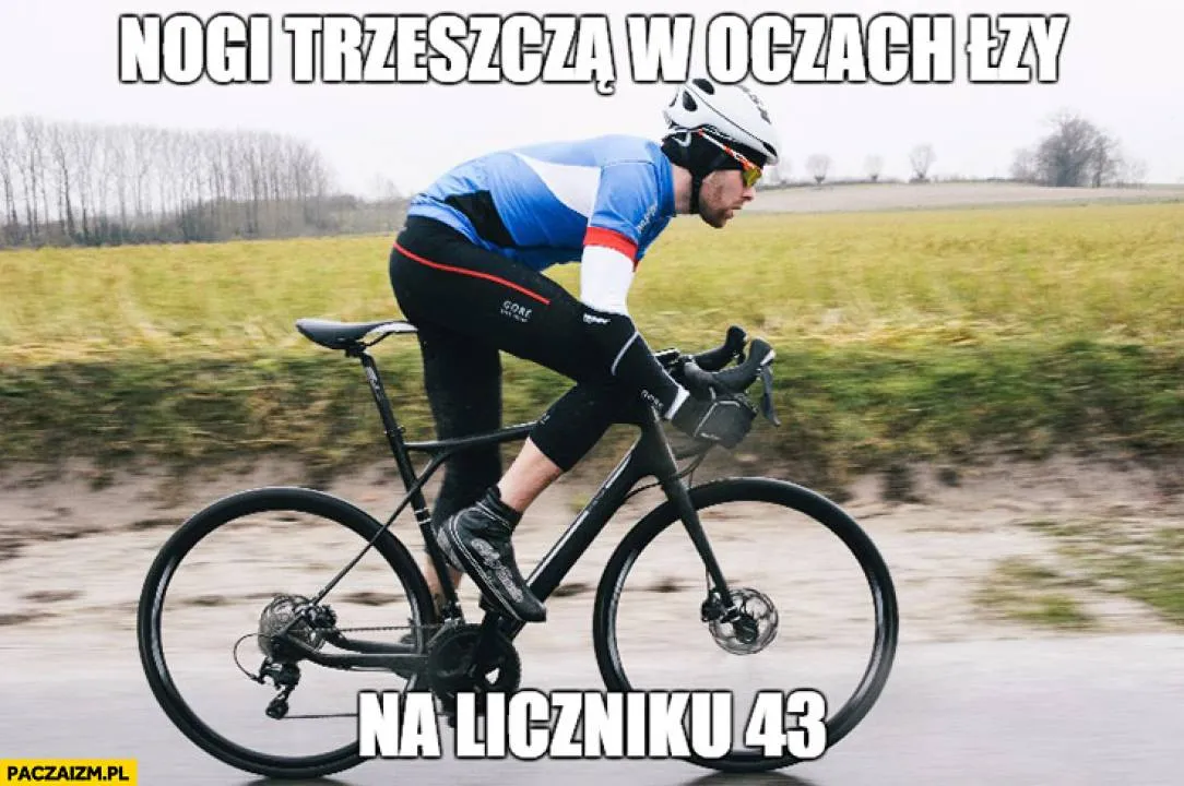 Zdjęcie 19