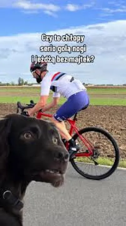 Zdjęcie 12