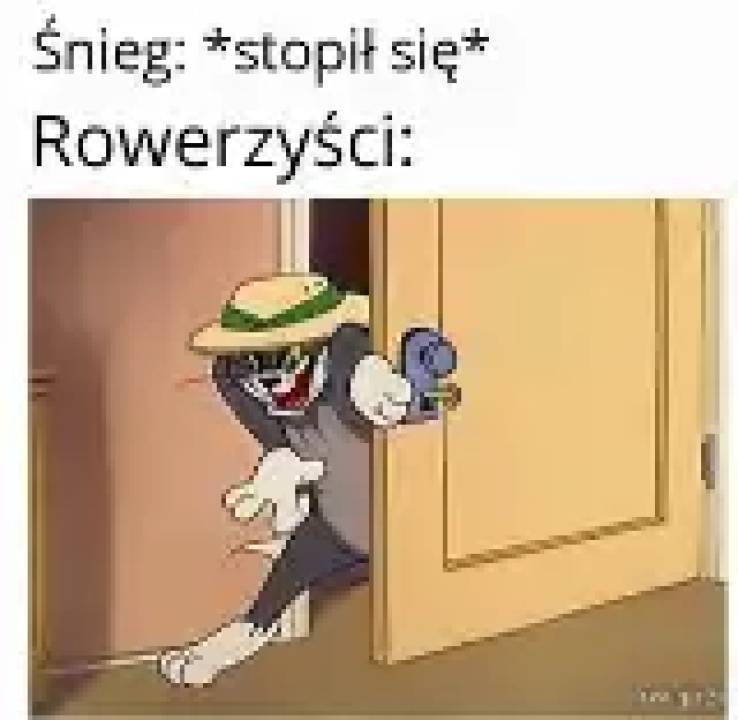 Zdjęcie 28
