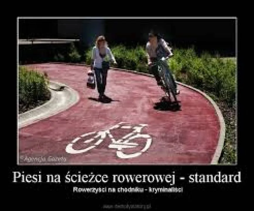 Zdjęcie 15