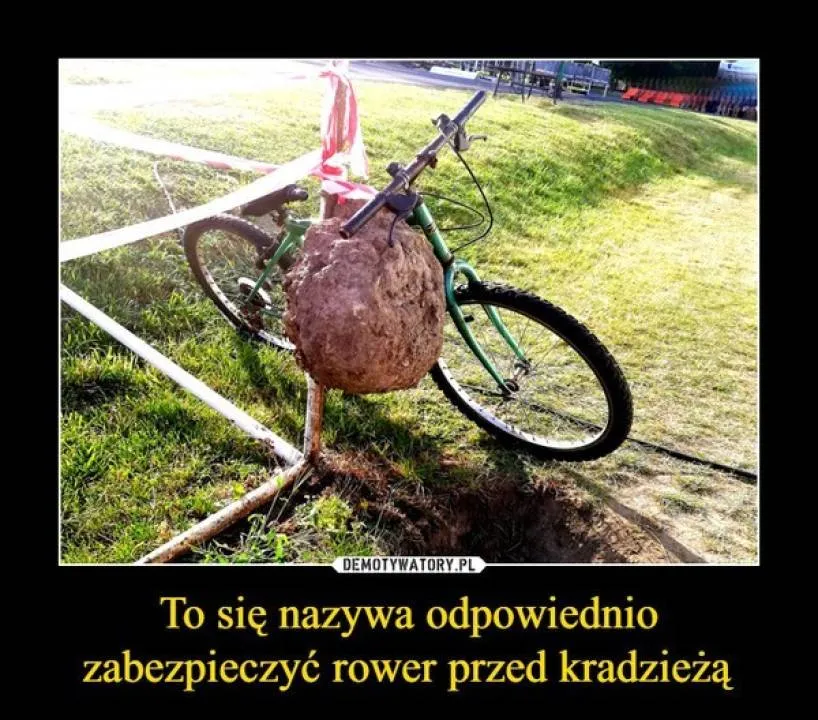 Zdjęcie 13