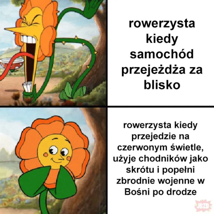 Zdjęcie 16