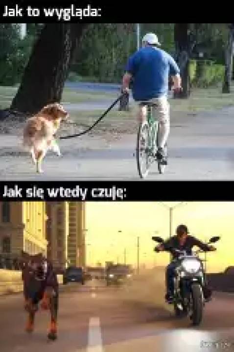 Zdjęcie 26
