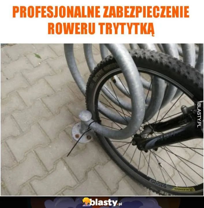 Zdjęcie 29