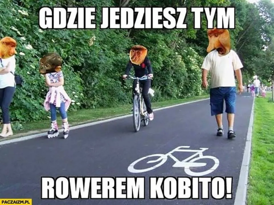 Zdjęcie 14