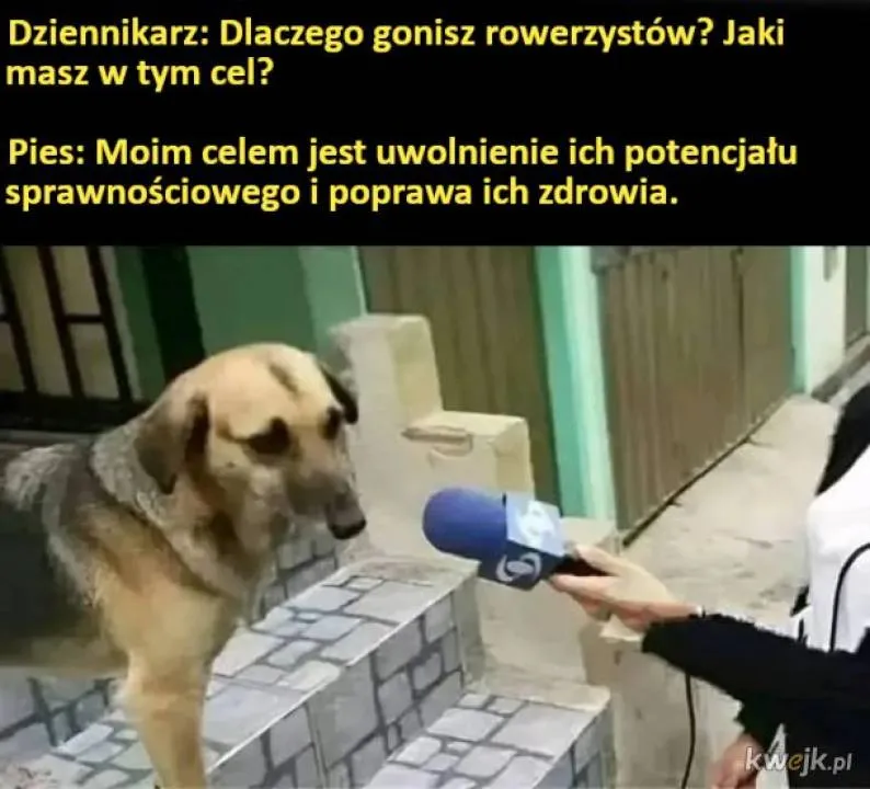 Zdjęcie 11