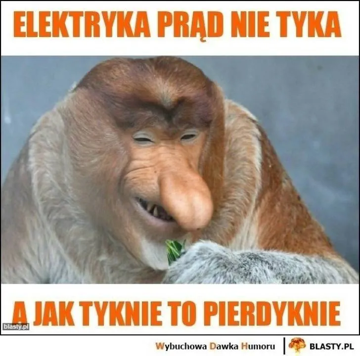 Zdjęcie 10