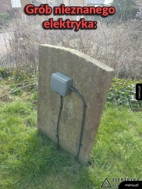 Zdjęcie 6